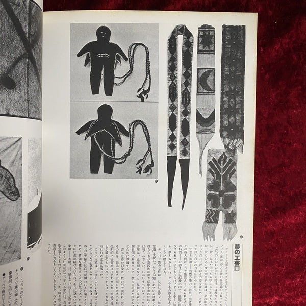 イメージの博物誌 3 夢 : 時空を超える旅路