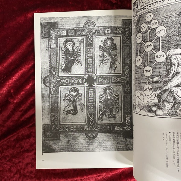 イメージの博物誌 1 占星術 : 天と地のドラマ
