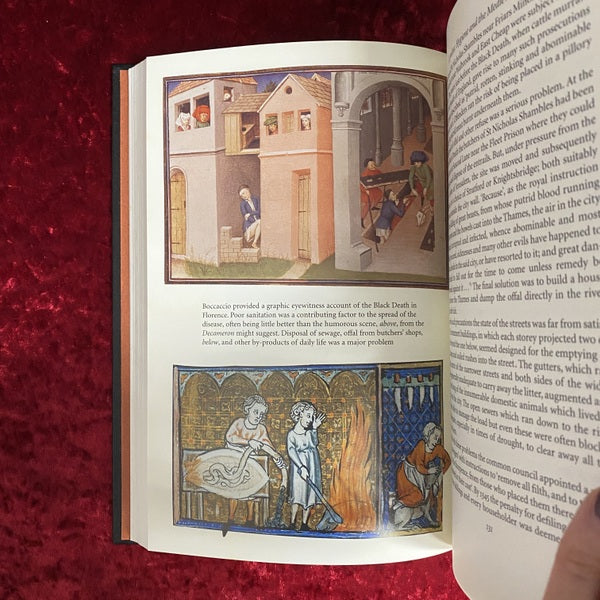 The Black Death　洋書