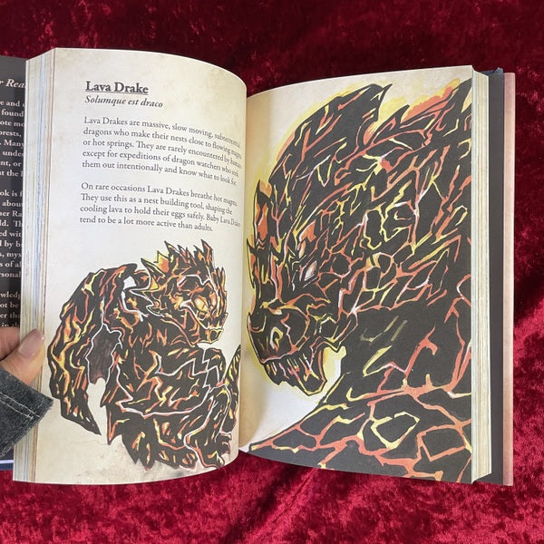 DRAGONS & Other Rare Creatures Volume 　洋書