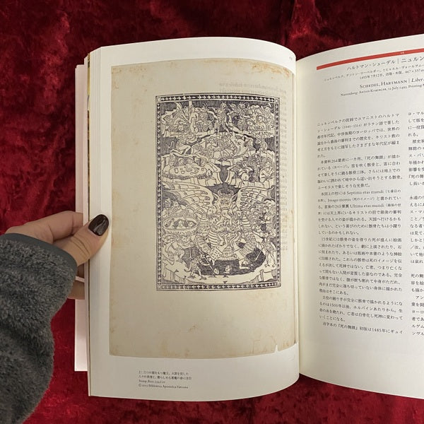 書物がひらくルネサンス ＜ヴァチカン教皇庁図書館展＞