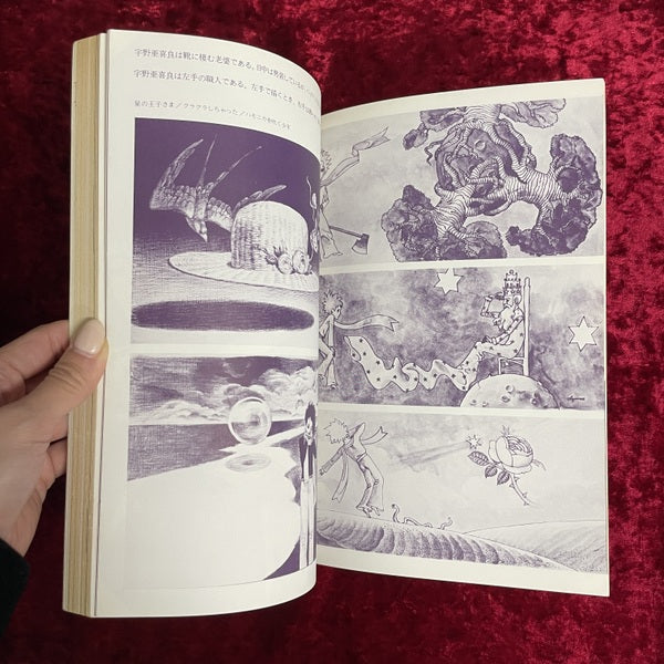 月刊　絵本　1978年12月号　特集　宇野亜喜良　華麗な変形譚