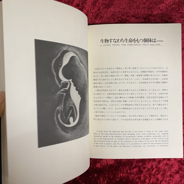 小宇宙 : 鏡の淵のアリス