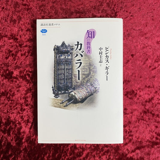 知の教科書 カバラー ＜講談社選書メチエ＞