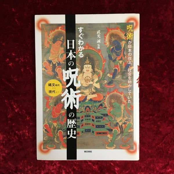 すぐわかる日本の呪術の歴史 : 呪術が日本の政治・社会を動かしていた : 縄文時代から現代まで