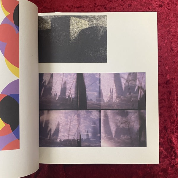 Tomato Real and Imaginary Flowers