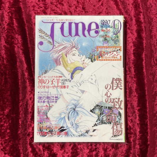 JUNE (1990年9月号 No.54)