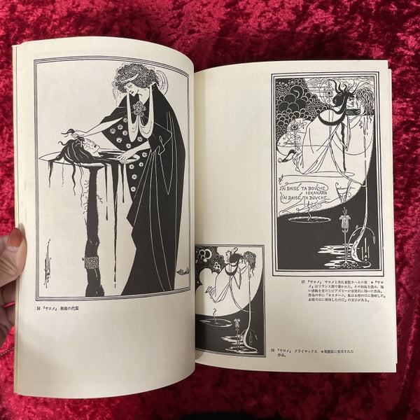 ビアズリーのイラストレーション ＜双書美術の泉 14＞