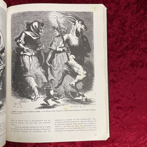 LE MUSEE DE LA BESTIALITE 洋書