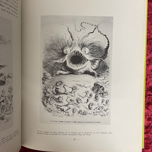 J.J. Grandville: Revolutionnaire et Precurseur de l'art du mouvement　洋書