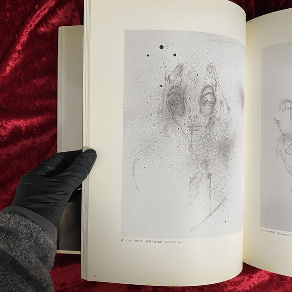 よこしまな天使   VICIOUS ANGEL 金子國義　署名・落款入り