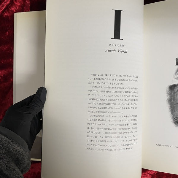 よこしまな天使   VICIOUS ANGEL 金子國義　署名・落款入り