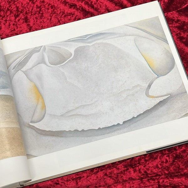 イン・ザ・ウェスト　オキーフ画集