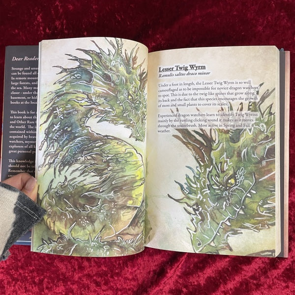 DRAGONS & Other Rare Creatures Volume 　洋書