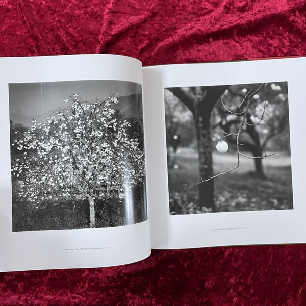 ABRUZZO　マイケル・ケンナ　Michael Kenna
