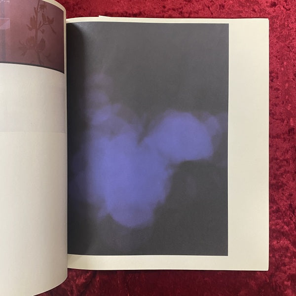 Tomato Real and Imaginary Flowers