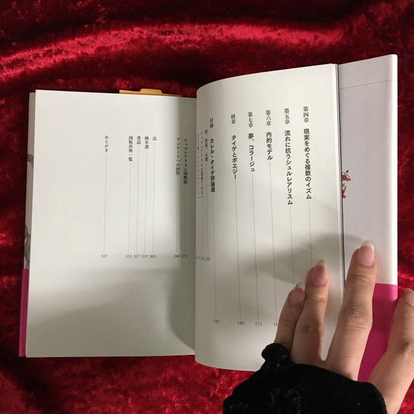 カレル・タイゲ ＜シュルレアリスムの25時＞