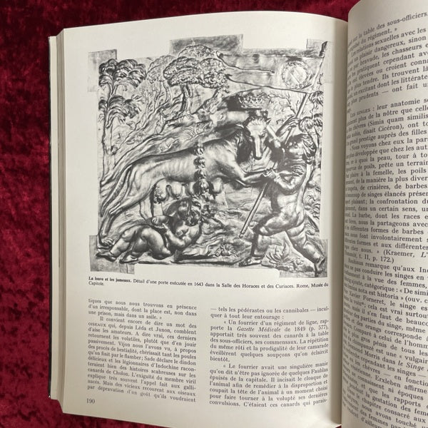 LE MUSEE DE LA BESTIALITE 洋書