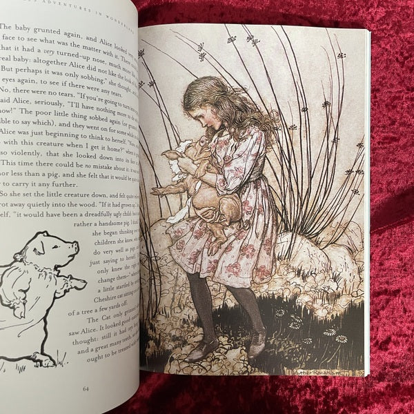 Alice's Adventures in Wonderland : A Classic Illustrated Edition 洋書