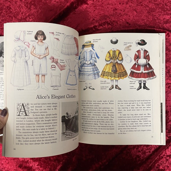 The Other Alice: The Story of Alice Liddell and Alice in Wonderland 洋書