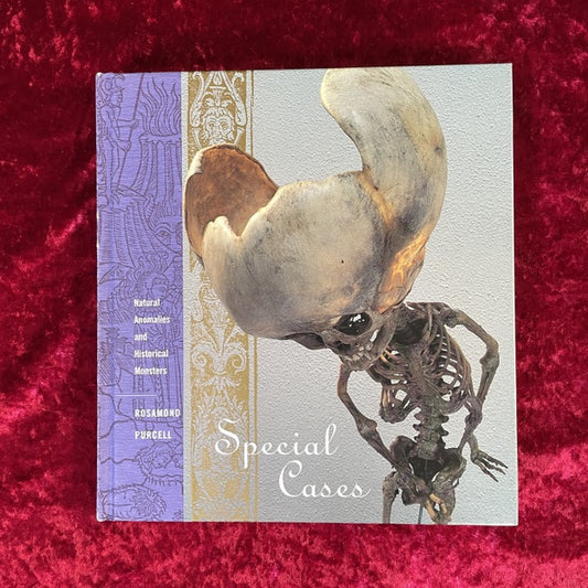 Special Cases 洋書