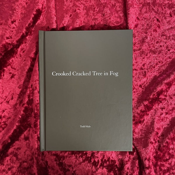 Crooked Cracked Tree：Todd Hidoトッド・ハイド　洋書　オリジナルプリント付き