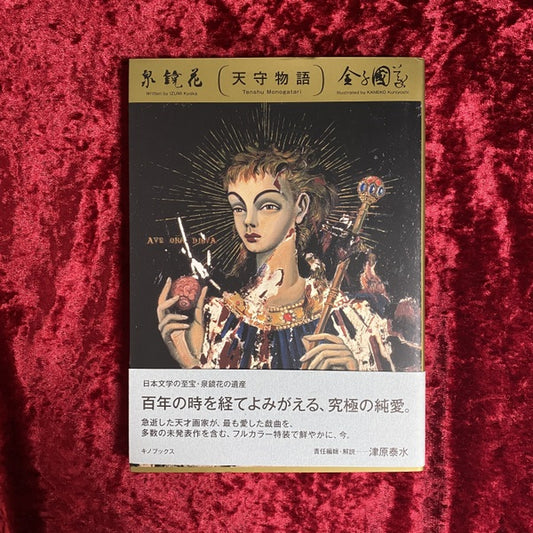天守物語 泉鏡花 著 ; 金子國義 画