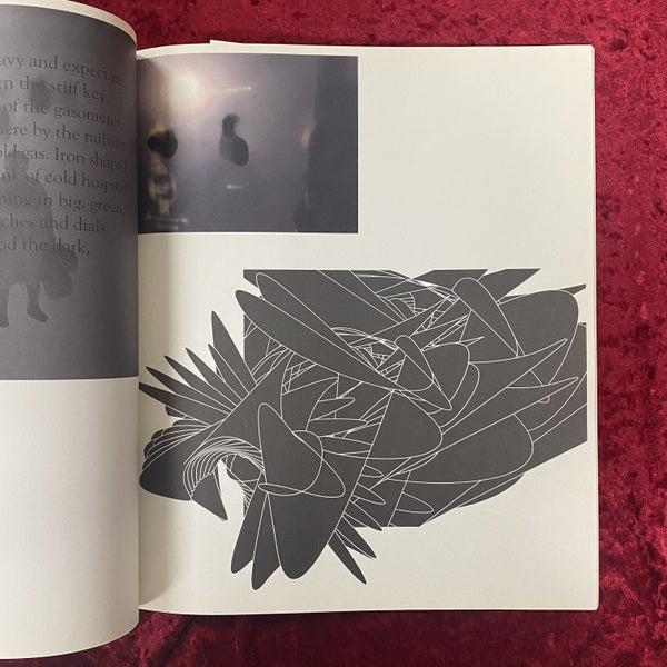 Tomato Real and Imaginary Flowers