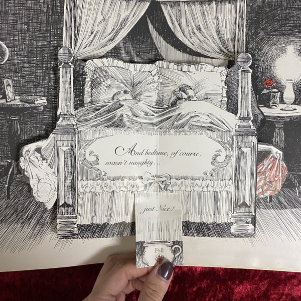 The Naughty Nineties: A Saucy Pop-Up Book for Adults Only　洋書