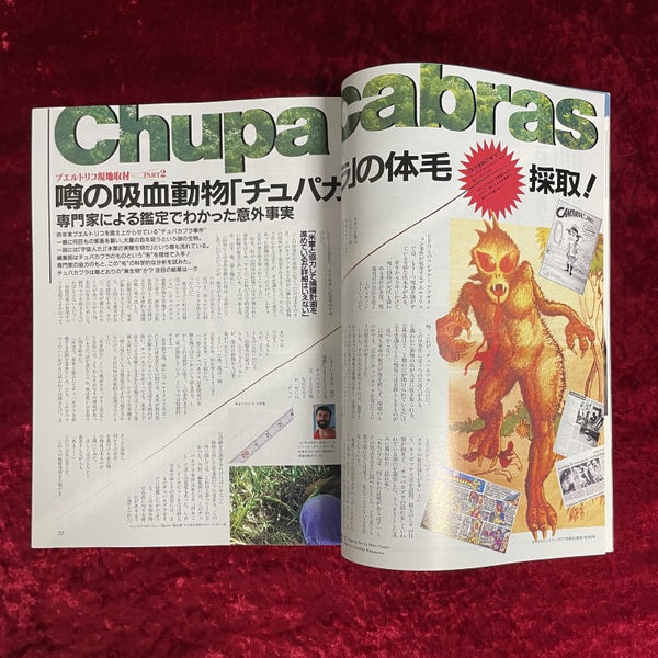 ボーダーランド (１９９６年７月号) 特集：禁断の領域を撃て！