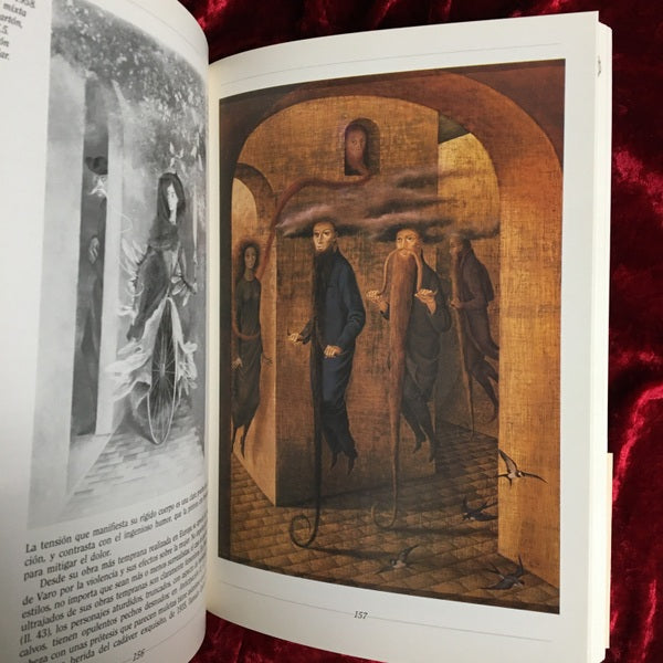 Viajes inesperados　El arte y la vida de Remedios Varo 洋書