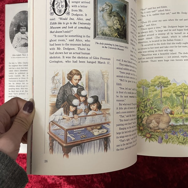 The Other Alice: The Story of Alice Liddell and Alice in Wonderland 洋書