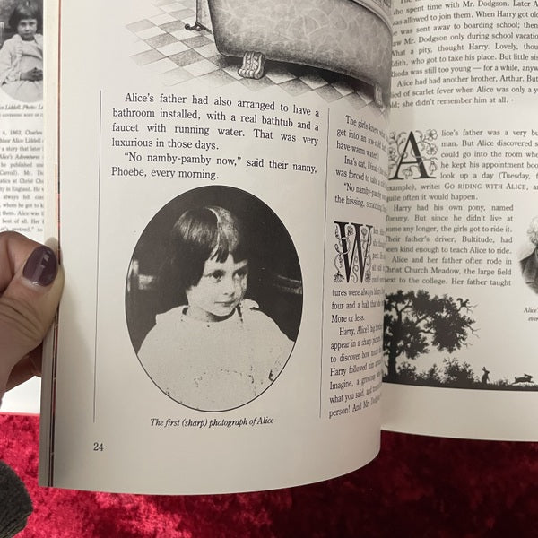 The Other Alice: The Story of Alice Liddell and Alice in Wonderland 洋書
