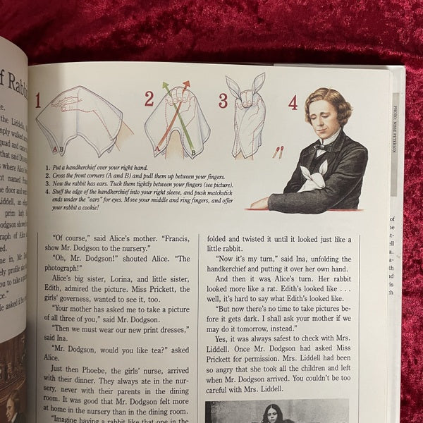 The Other Alice: The Story of Alice Liddell and Alice in Wonderland 洋書