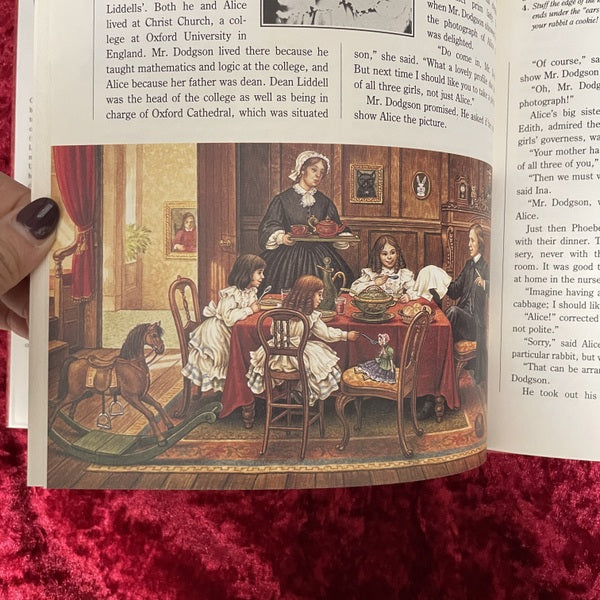 The Other Alice: The Story of Alice Liddell and Alice in Wonderland 洋書