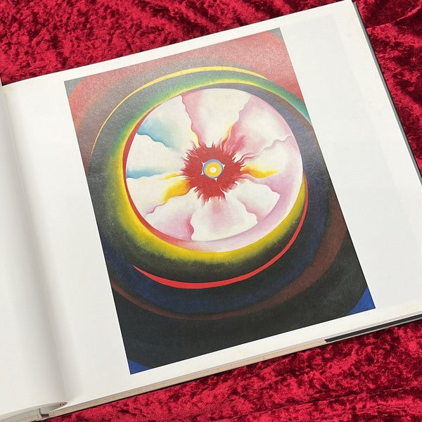 イン・ザ・ウェスト　オキーフ画集