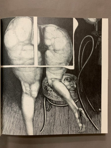 エルンスト・フックス画集　Das Graphische Werk. 1967-1980