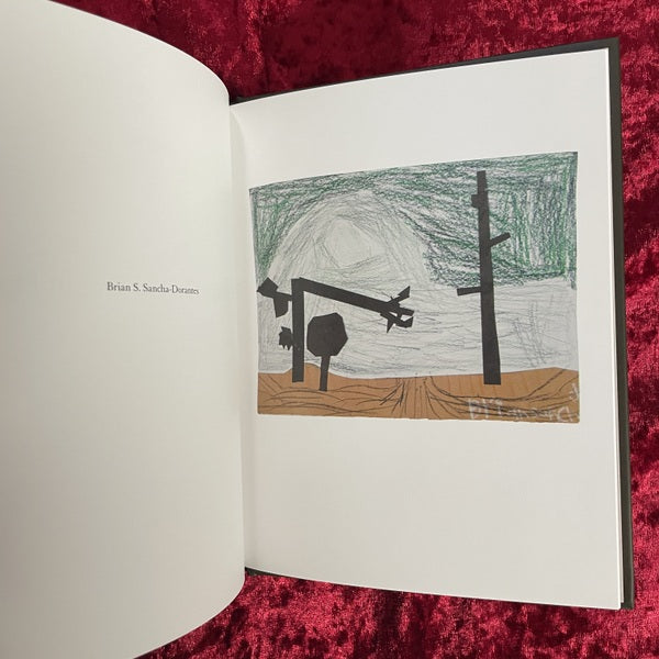 Crooked Cracked Tree：Todd Hidoトッド・ハイド　洋書　オリジナルプリント付き