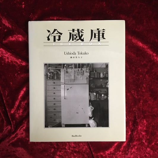 冷蔵庫 : 潮田登久子・写真集 ＜Bee books＞