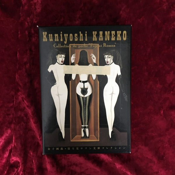 金子國義・富士見ロマン文庫コレクシォン