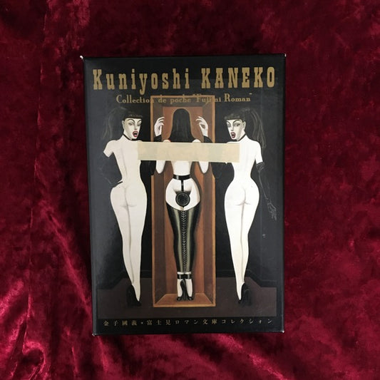 金子國義・富士見ロマン文庫コレクシォン