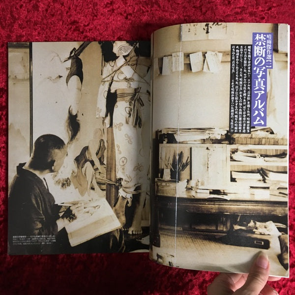 芸術新潮　特集 幻の責め絵師伊藤晴雨 1995年4月号 1995年4月号