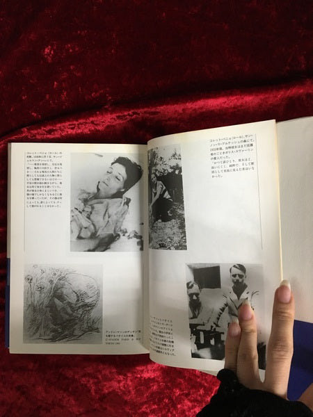 G.バタイユ伝 上　下　2冊セット 上・下　2冊セット