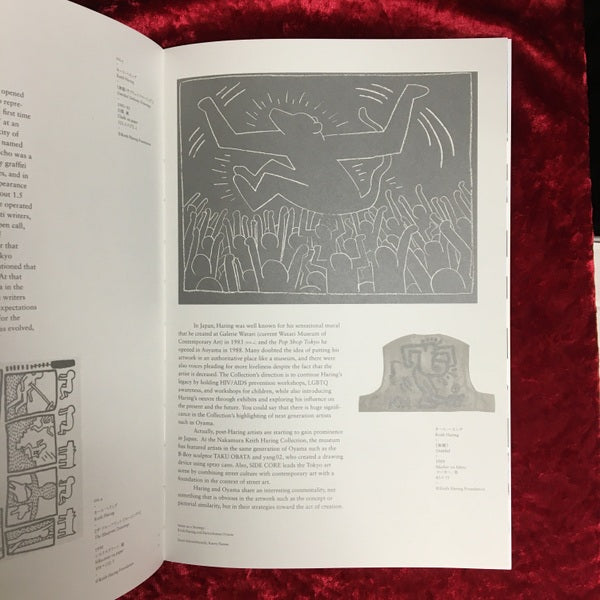 Enrico Isamu Oyama VIRAL　大山エンリコイサム　展覧会カタログ