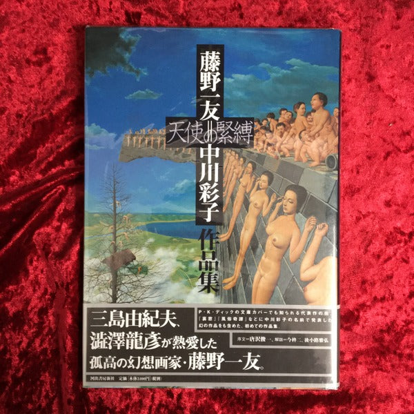 天使の緊縛:　藤野一友=中川彩子作品集