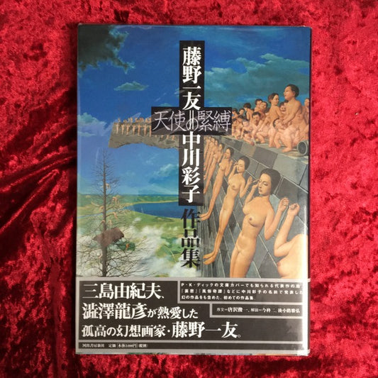 天使の緊縛:　藤野一友=中川彩子作品集