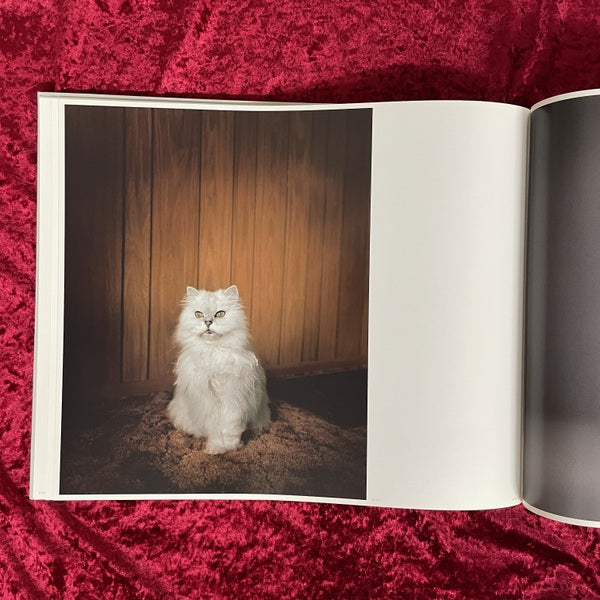 Excerpts from Silver Meadows　Todd Hido　トッド・ハイド　洋書　