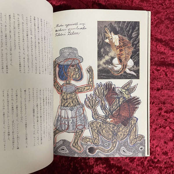 不思議の国のアリス・鏡の国のアリス　ヤン・シュヴァンクマイエル 挿画 2冊セット