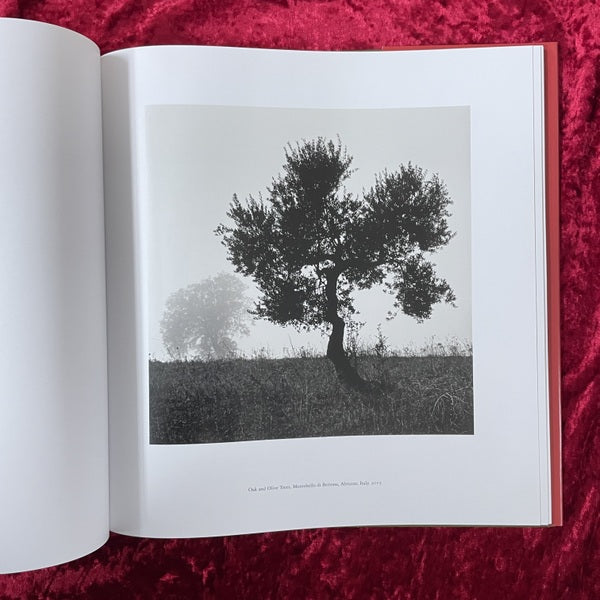 ABRUZZO　マイケル・ケンナ　Michael Kenna
