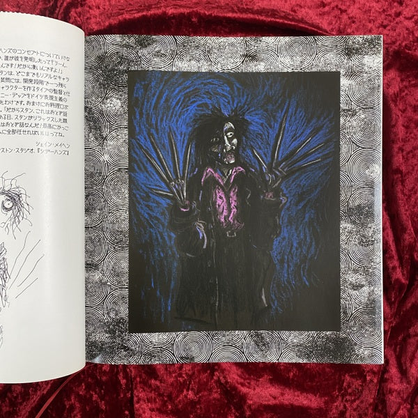 ティム・バートンの世界 日本語版 THE ART OF TIM BURTON ティム